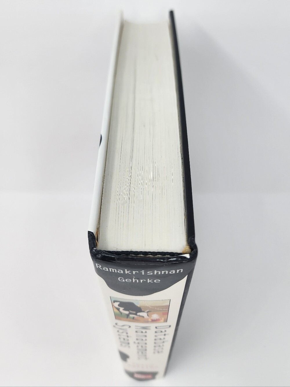 Database Management Systems Third Edition Hardback Textbook - Picture 5 of 11